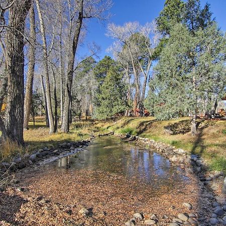 Cozy Colorado Cabin With Deck, Grill And River Access! ブエナビスタ エクステリア 写真