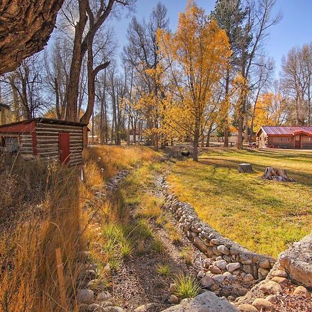 Cozy Colorado Cabin With Deck, Grill And River Access! ブエナビスタ エクステリア 写真