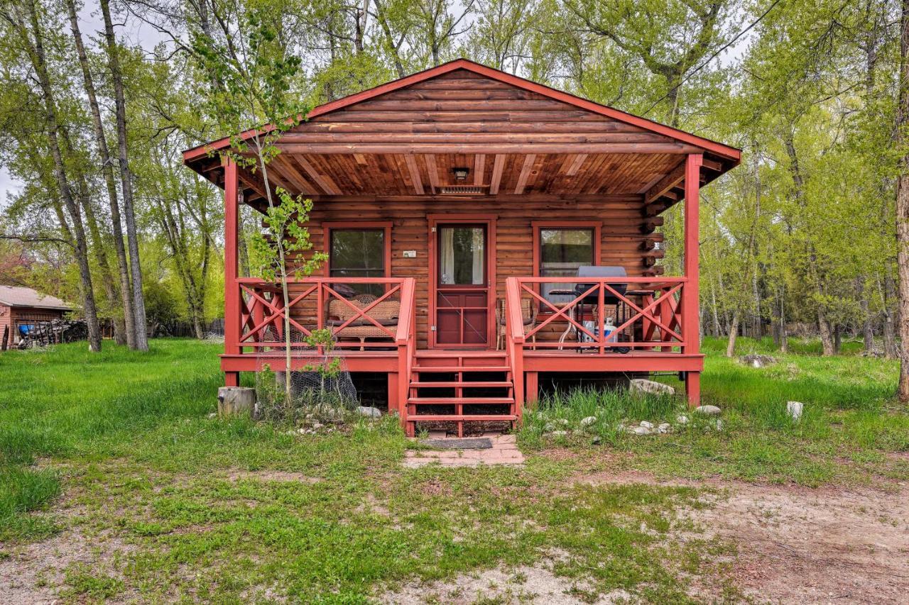 Cozy Colorado Cabin With Deck, Grill And River Access! ブエナビスタ エクステリア 写真